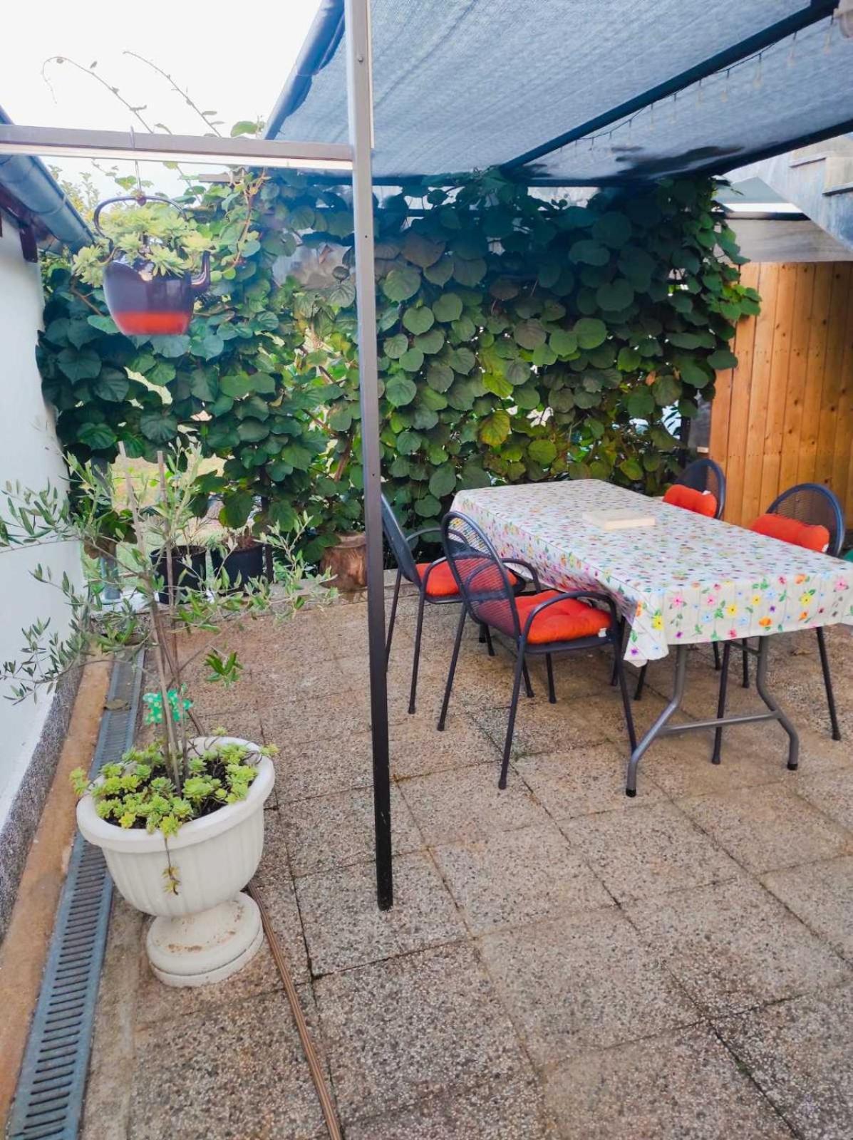 Apartman Jenny-Porec Kosinozici Eksteriør billede